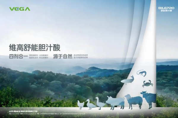 鼎豪配资 猪鸡销量创历史新高，温氏2024年赚92亿，今年一季度赚20亿，负债率连续连续四个季度下降