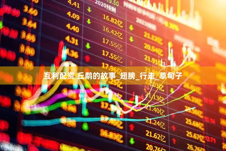 互利配资 丘鹬的故事_翅膀_行走_草甸子