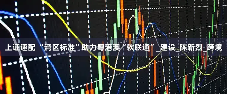 上证速配 “湾区标准”助力粤港澳“软联通”_建设_陈新烈_跨境