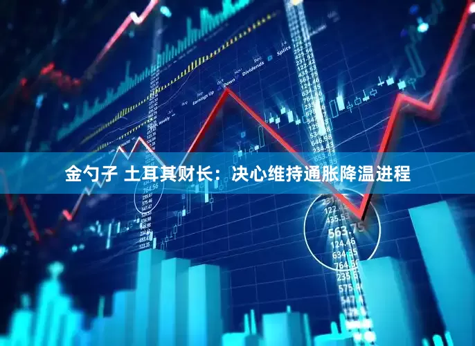 金勺子 土耳其财长：决心维持通胀降温进程