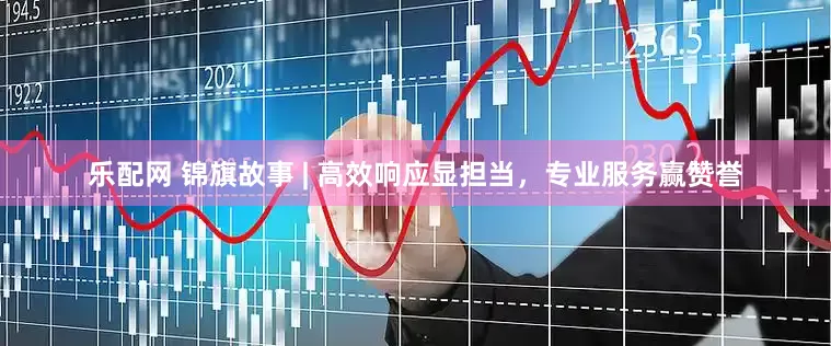乐配网 锦旗故事 | 高效响应显担当，专业服务赢赞誉